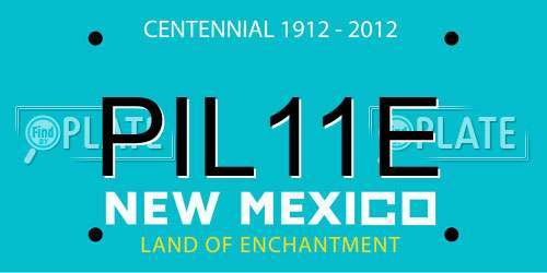 PIL11E New Mexico License Plate