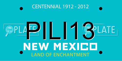 PILI13 New Mexico License Plate