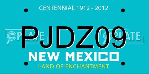 PJDZ09 New Mexico License Plate
