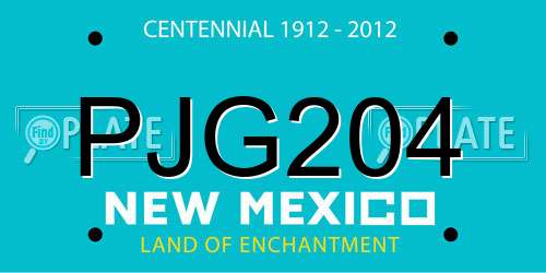 PJG204 New Mexico License Plate