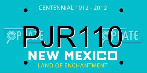 PJR110 New Mexico License Plate