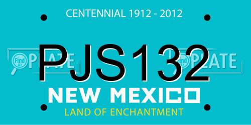 PJS132 New Mexico License Plate