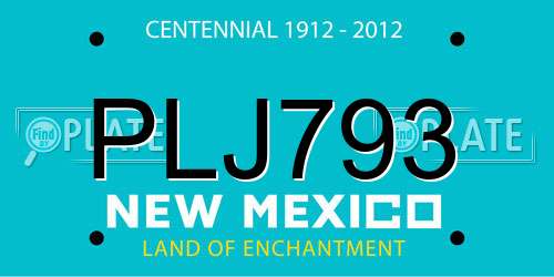 PLJ793 New Mexico License Plate