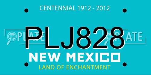 PLJ828 New Mexico License Plate