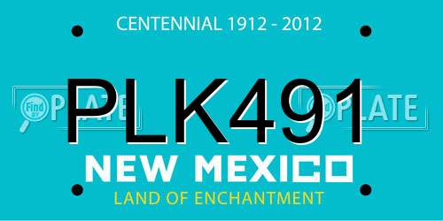 PLK491 New Mexico License Plate