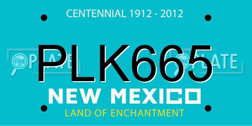 PLK665 New Mexico License Plate