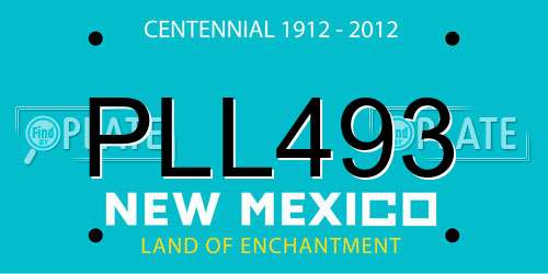PLL493 New Mexico License Plate