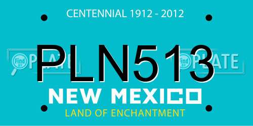 PLN513 New Mexico License Plate