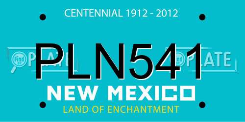 PLN541 New Mexico License Plate