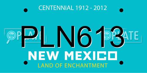 PLN613 New Mexico License Plate