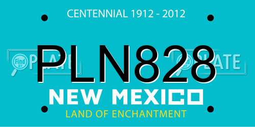 PLN828 New Mexico License Plate