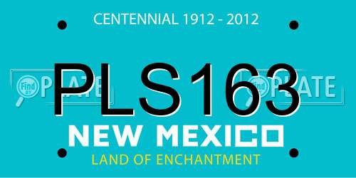 PLS163 New Mexico License Plate