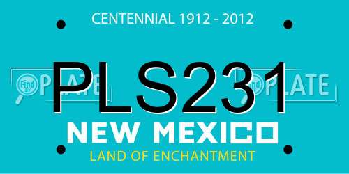 PLS231 New Mexico License Plate