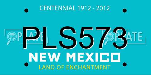 PLS573 New Mexico License Plate