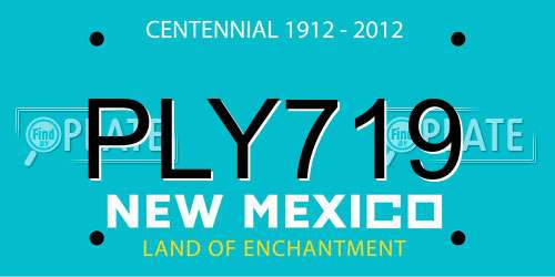 PLY719 New Mexico License Plate