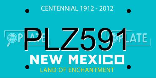 PLZ591 New Mexico License Plate