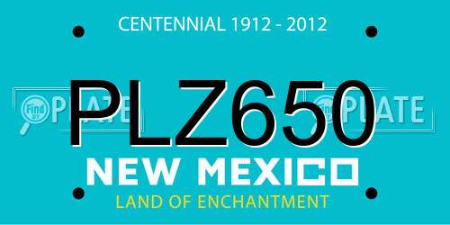 PLZ650 New Mexico License Plate