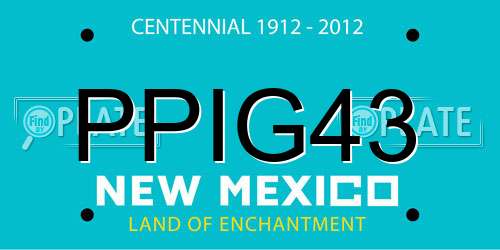 PPIG43 New Mexico License Plate