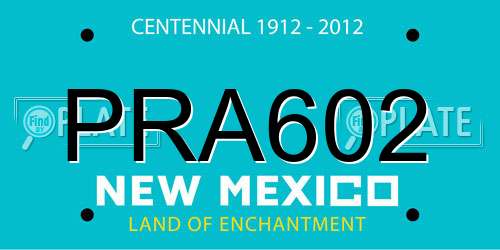 PRA602 New Mexico License Plate