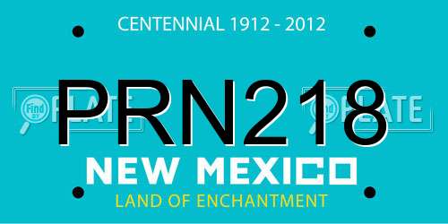 PRN218 New Mexico License Plate