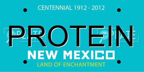 PROTEIN New Mexico License Plate
