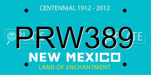 PRW389 New Mexico License Plate