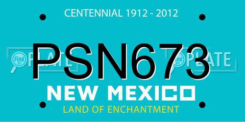 PSN673 New Mexico License Plate