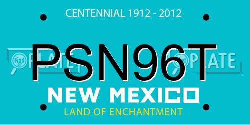 PSN96T New Mexico License Plate