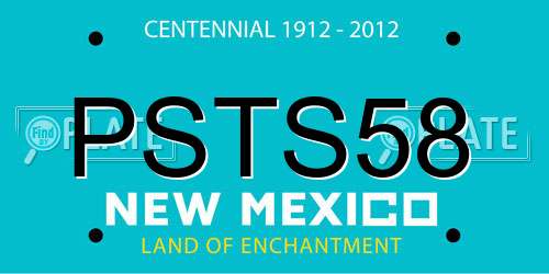 PSTS58 New Mexico License Plate