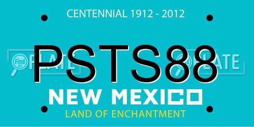 PSTS88 New Mexico License Plate