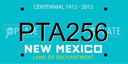 PTA256 New Mexico License Plate