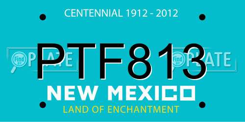 PTF813 New Mexico License Plate
