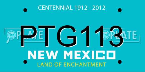 PTG113 New Mexico License Plate