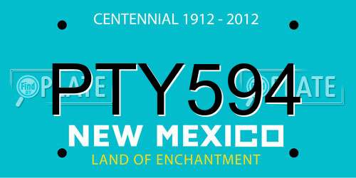 PTY594 New Mexico License Plate