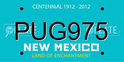 PUG975 New Mexico License Plate