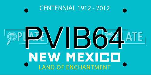PVIB64 New Mexico License Plate