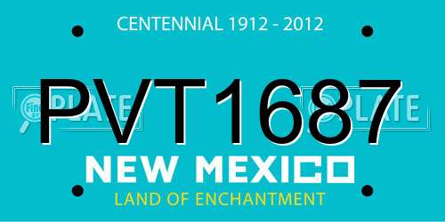 PVT1687 New Mexico License Plate