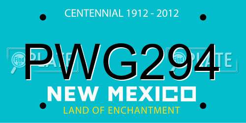 PWG294 New Mexico License Plate