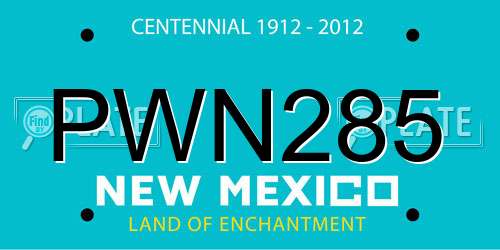 PWN285 New Mexico License Plate