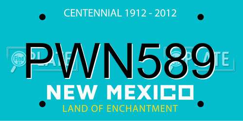 PWN589 New Mexico License Plate