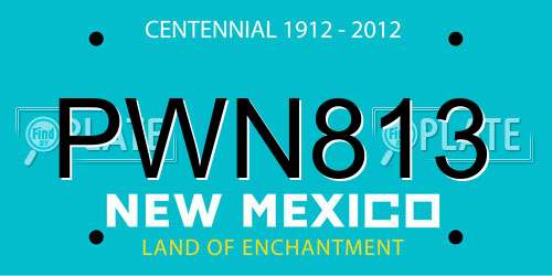 PWN813 New Mexico License Plate