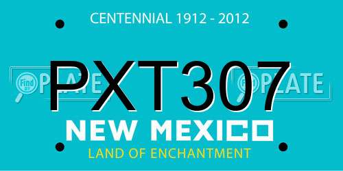 PXT307 New Mexico License Plate