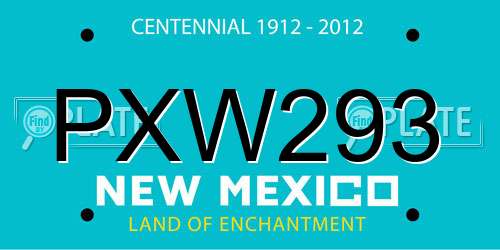 PXW293 New Mexico License Plate