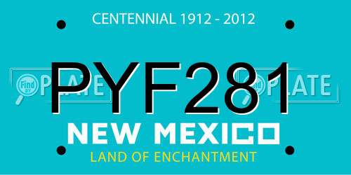PYF281 New Mexico License Plate