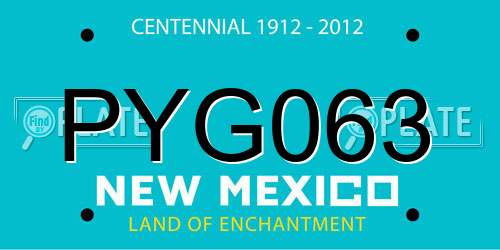 PYG063 New Mexico License Plate