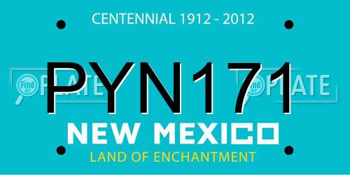 PYN171 New Mexico License Plate