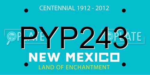 PYP243 New Mexico License Plate