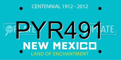 PYR491 New Mexico License Plate