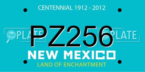 PZ256 New Mexico License Plate