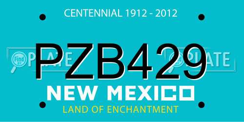 PZB429 New Mexico License Plate